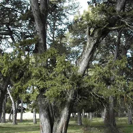 Casa rural C.t.r. Camino De La Fuentona *