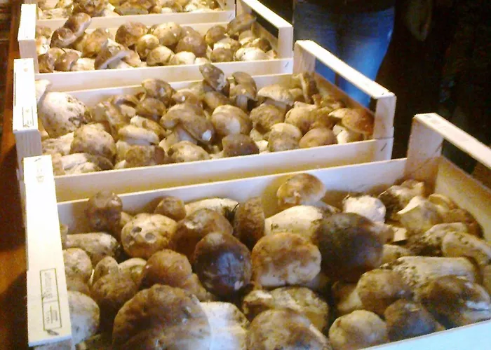 C.t.r. Camino De La Fuentona Cabrejas del Pinar