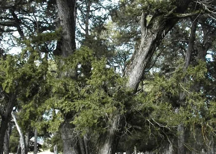 Gospodarstwo wiejskie C.t.r. Camino De La Fuentona *