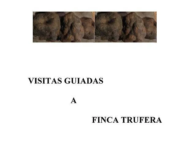 Gospodarstwo wiejskie C.t.r. Camino De La Fuentona